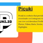 What is Pickuki? A Comprehensive