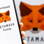 How to Download MetaMask Tumb: A Simple Guide for Beginners