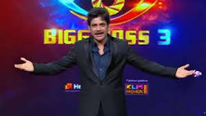 Bigg Boss Telugu Season 3 Voting: Everything You Need to Know