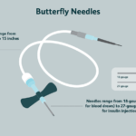 butterfly needle