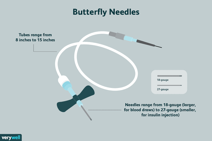 butterfly needle